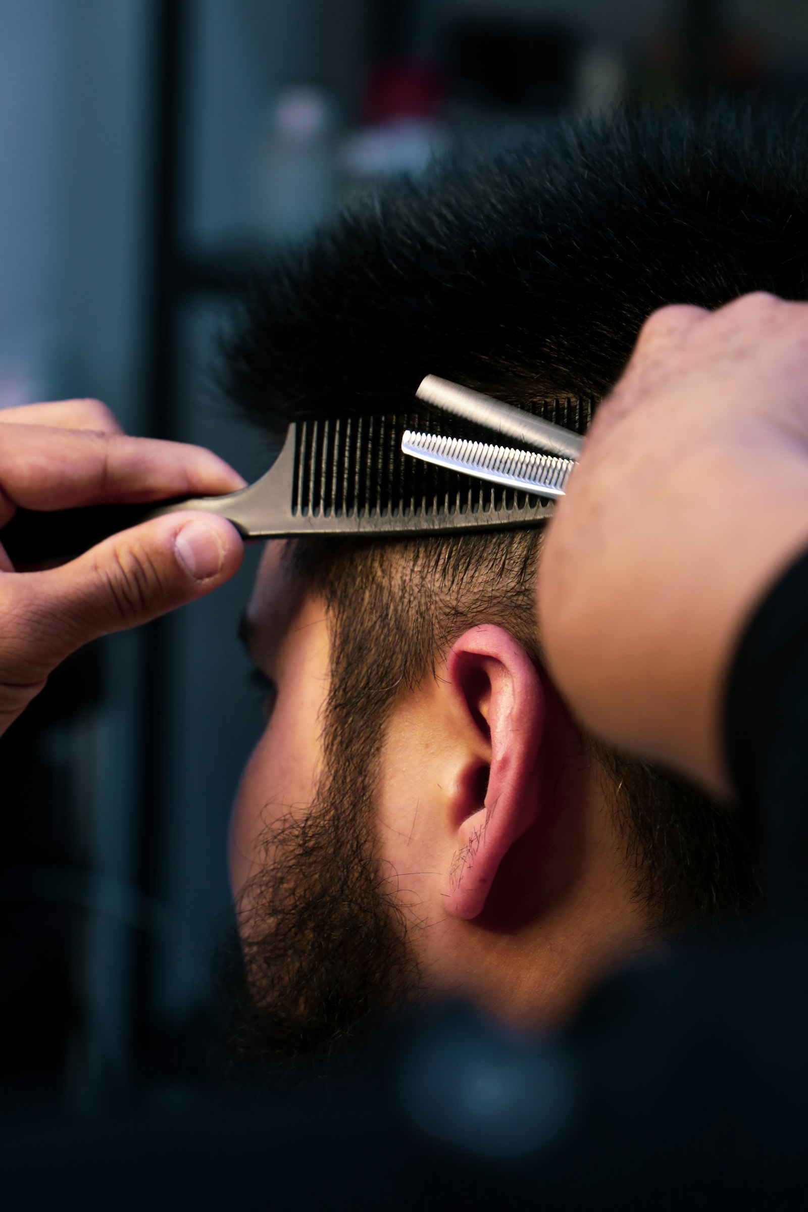 Corte